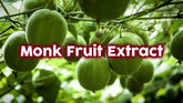 Monk Fruit Extract